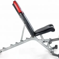 EL FIGHT 2020 LATEST SELECTTECH 552 ADJUSTABLE DUMBBELLS (PAIR) AND ADJUSTABLE BENCH