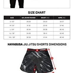 Hayabusa Metaru Charged Brazilian Jiu Jitsu And MMA Shorts